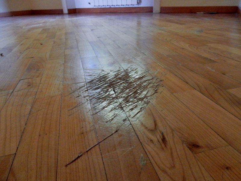 Damaged Hardwood Floor Repair